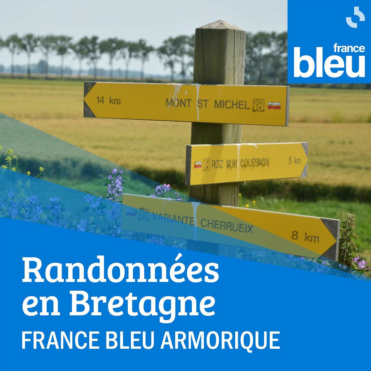 Show cover of Randonnées en Bretagne