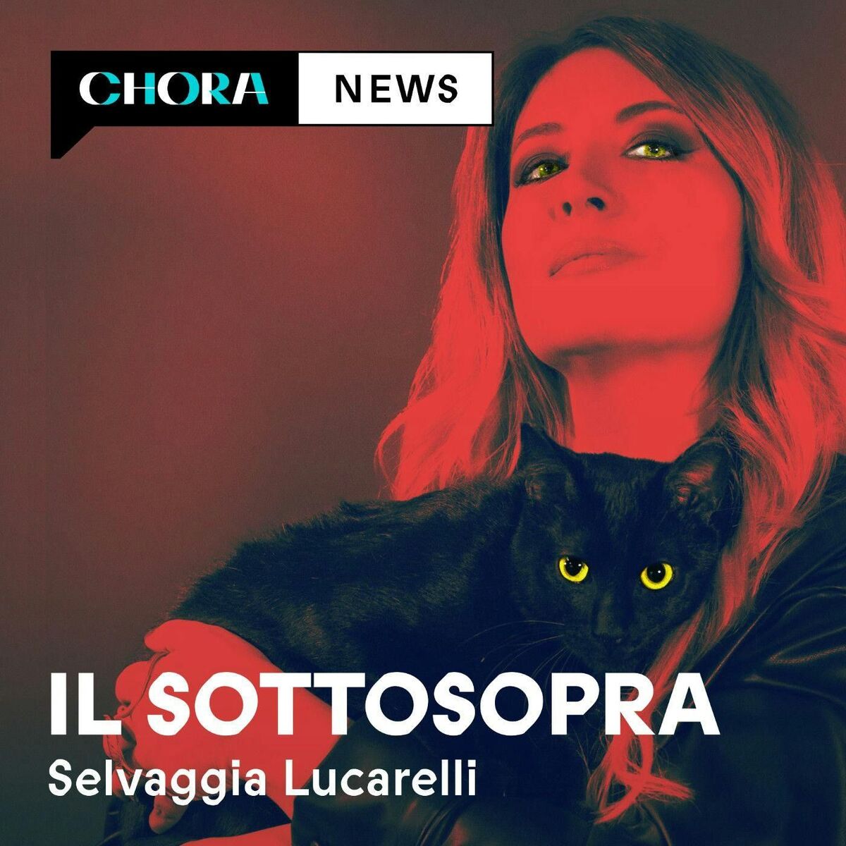 Show cover of Il Sottosopra