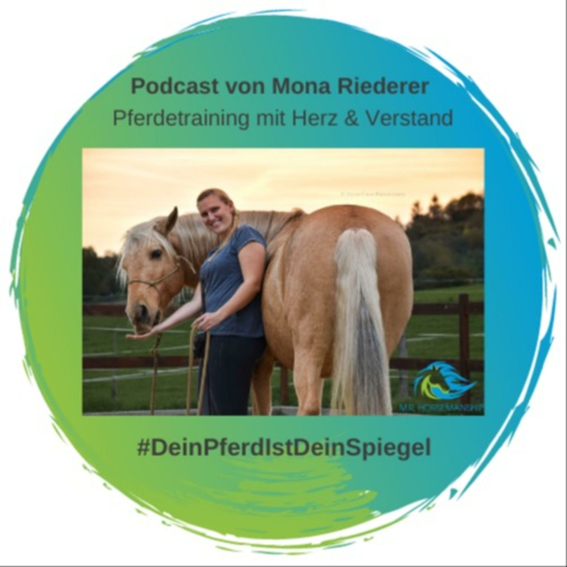 Show cover of Pferdetraining mit Herz & Verstand