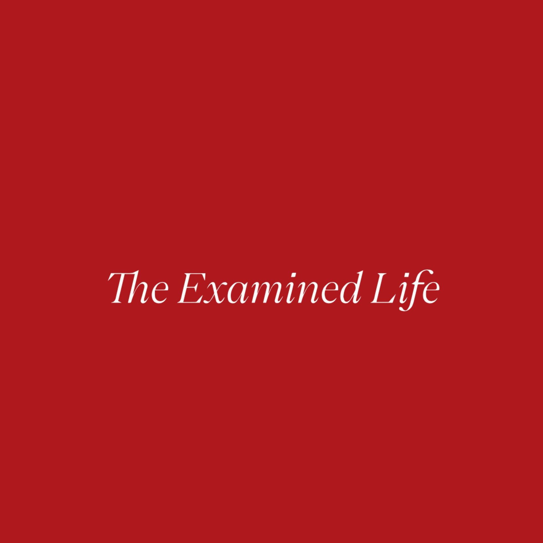 Show cover of The Examined Life