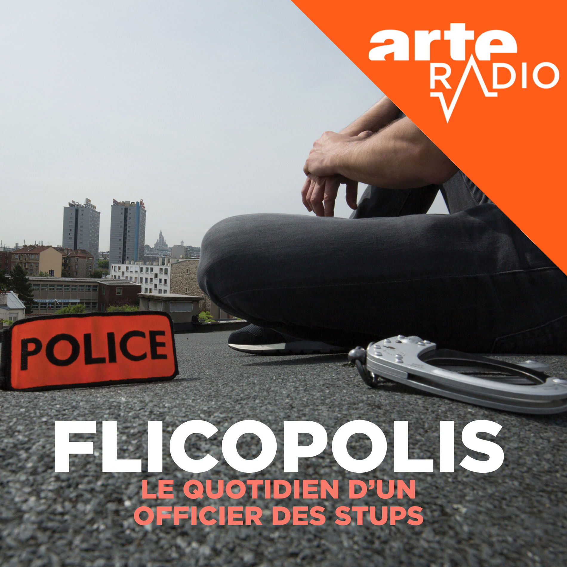 Show cover of Flicopolis, la police française de l'intérieur