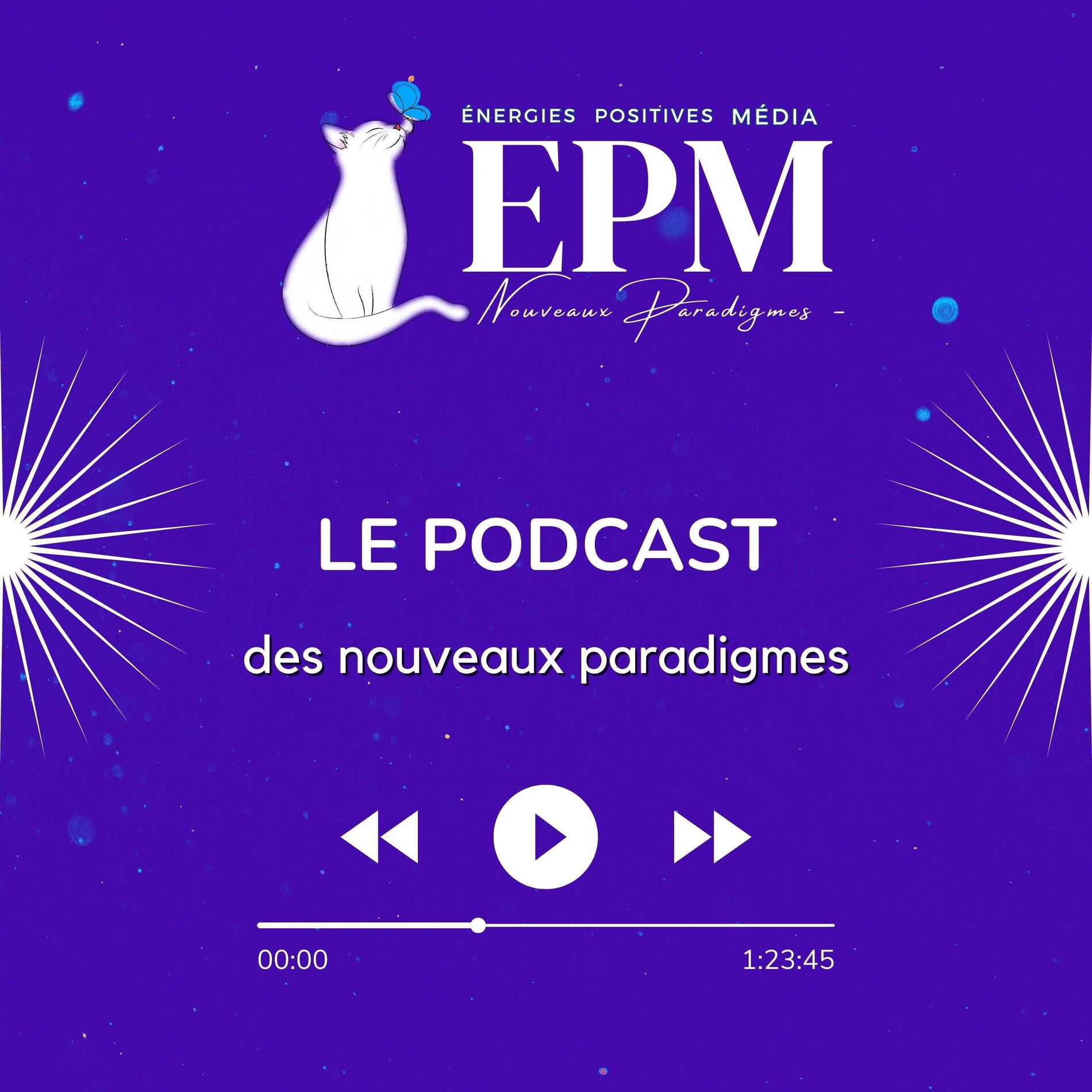 Show cover of Énergies Positives podcast