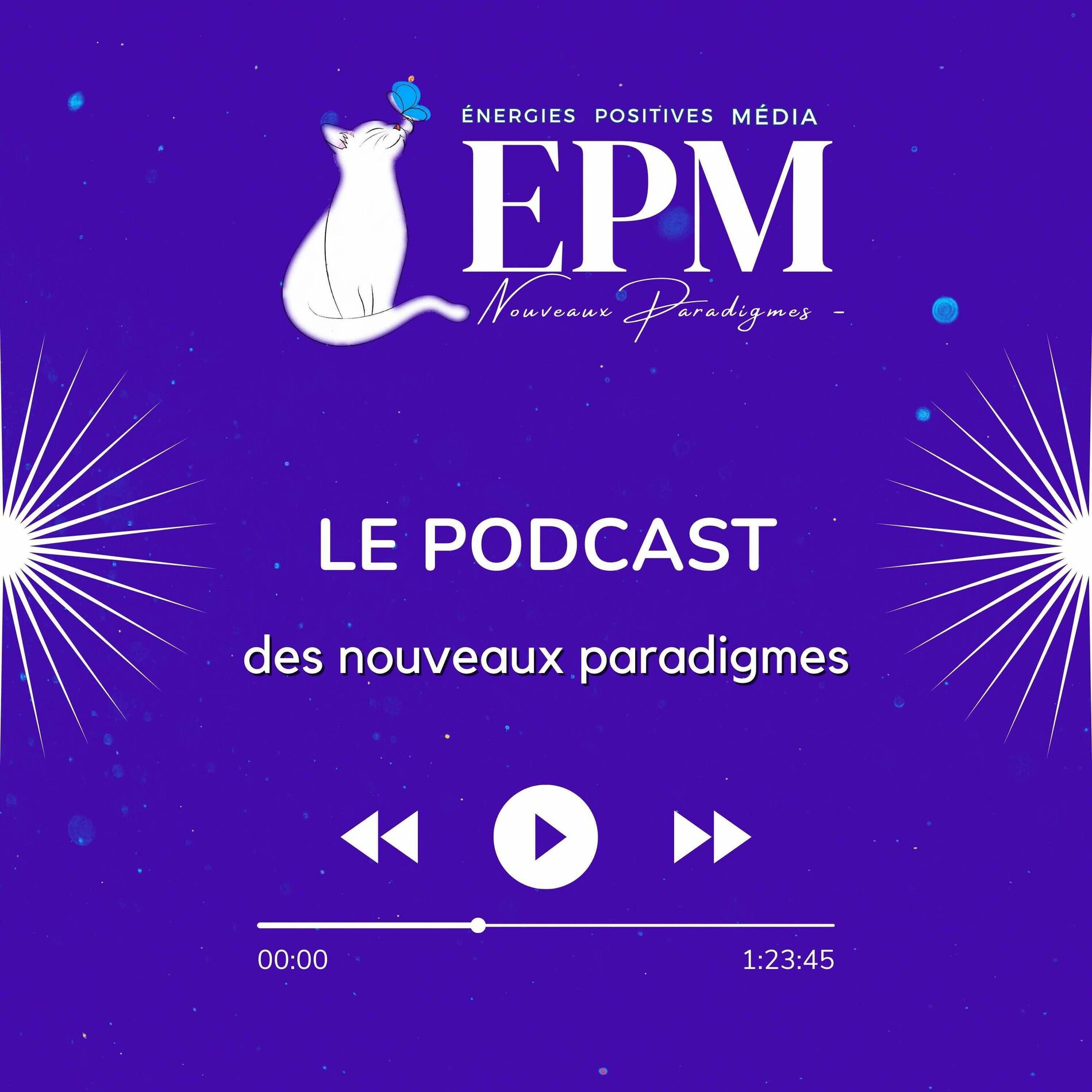 Show cover of Énergies Positives podcast