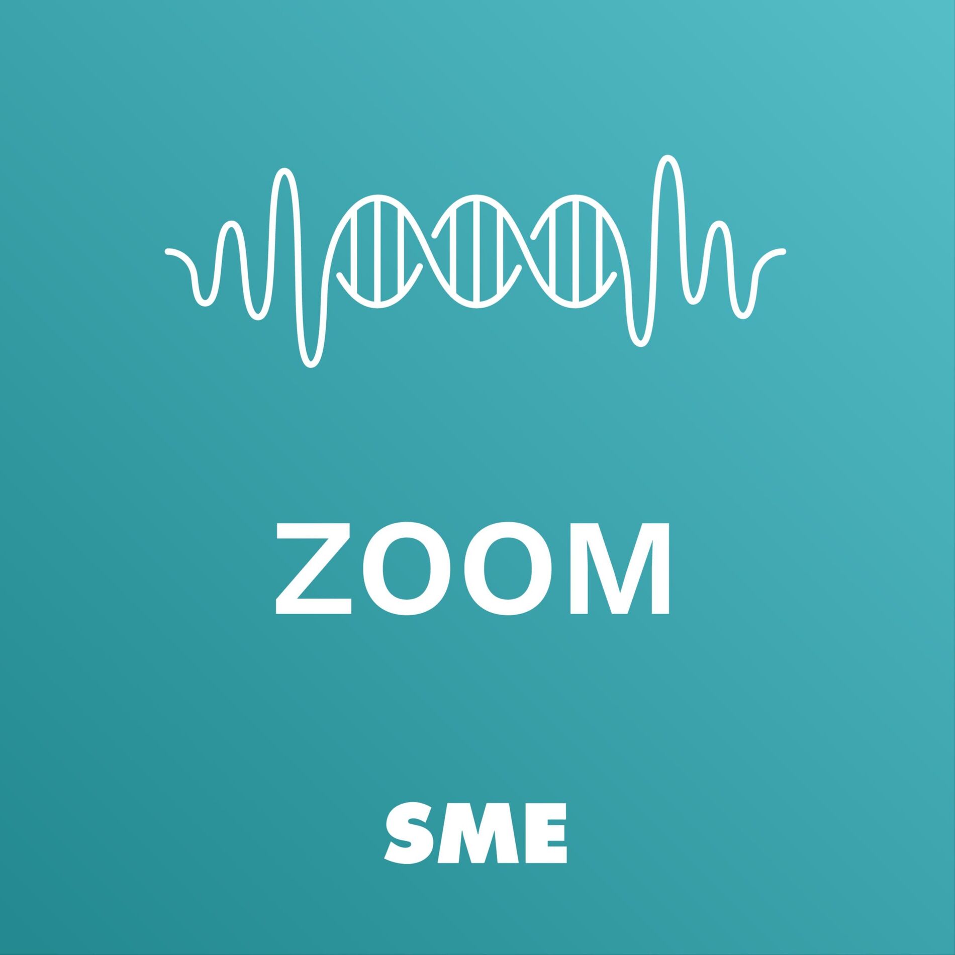 Show cover of Zoom