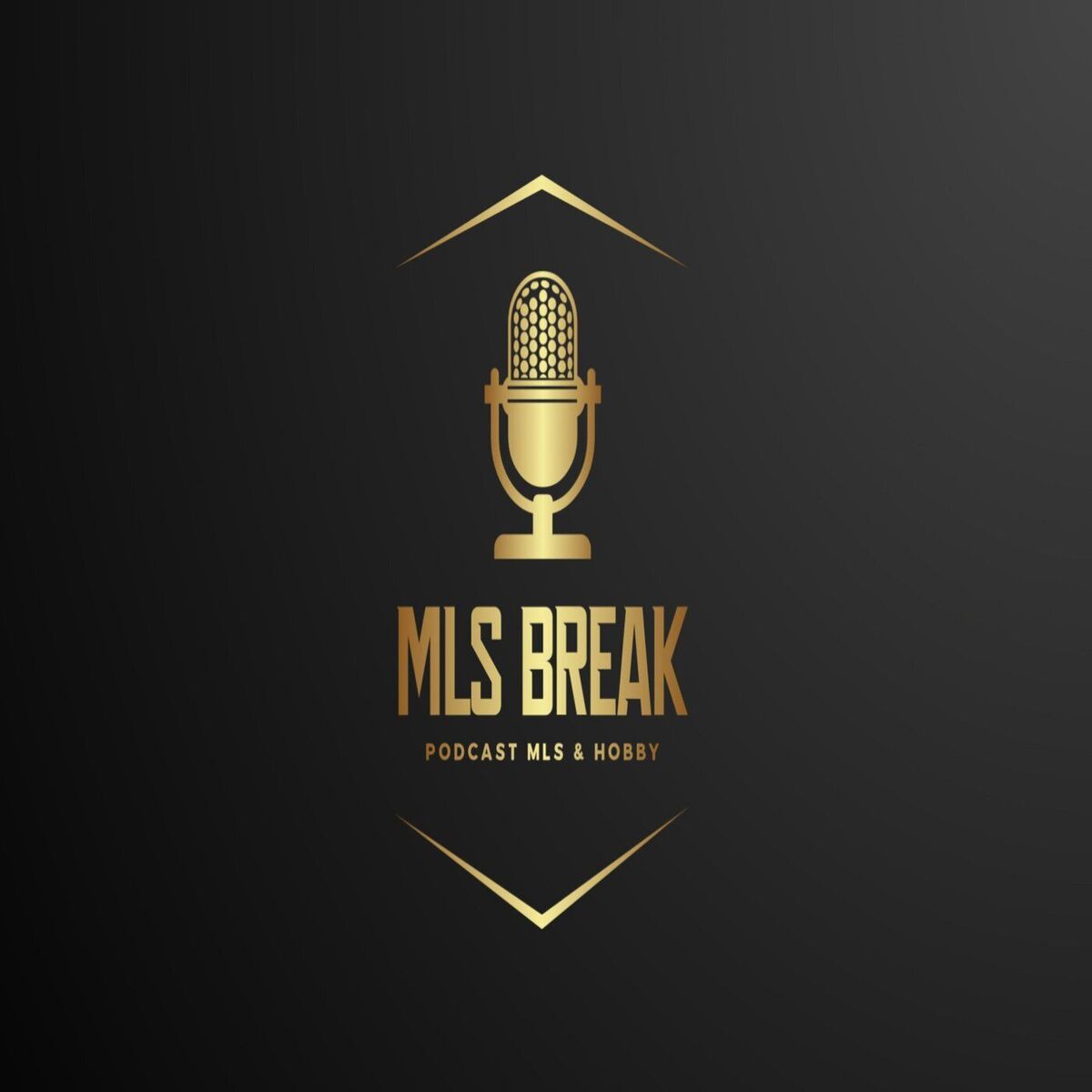 Show cover of MLS Break
