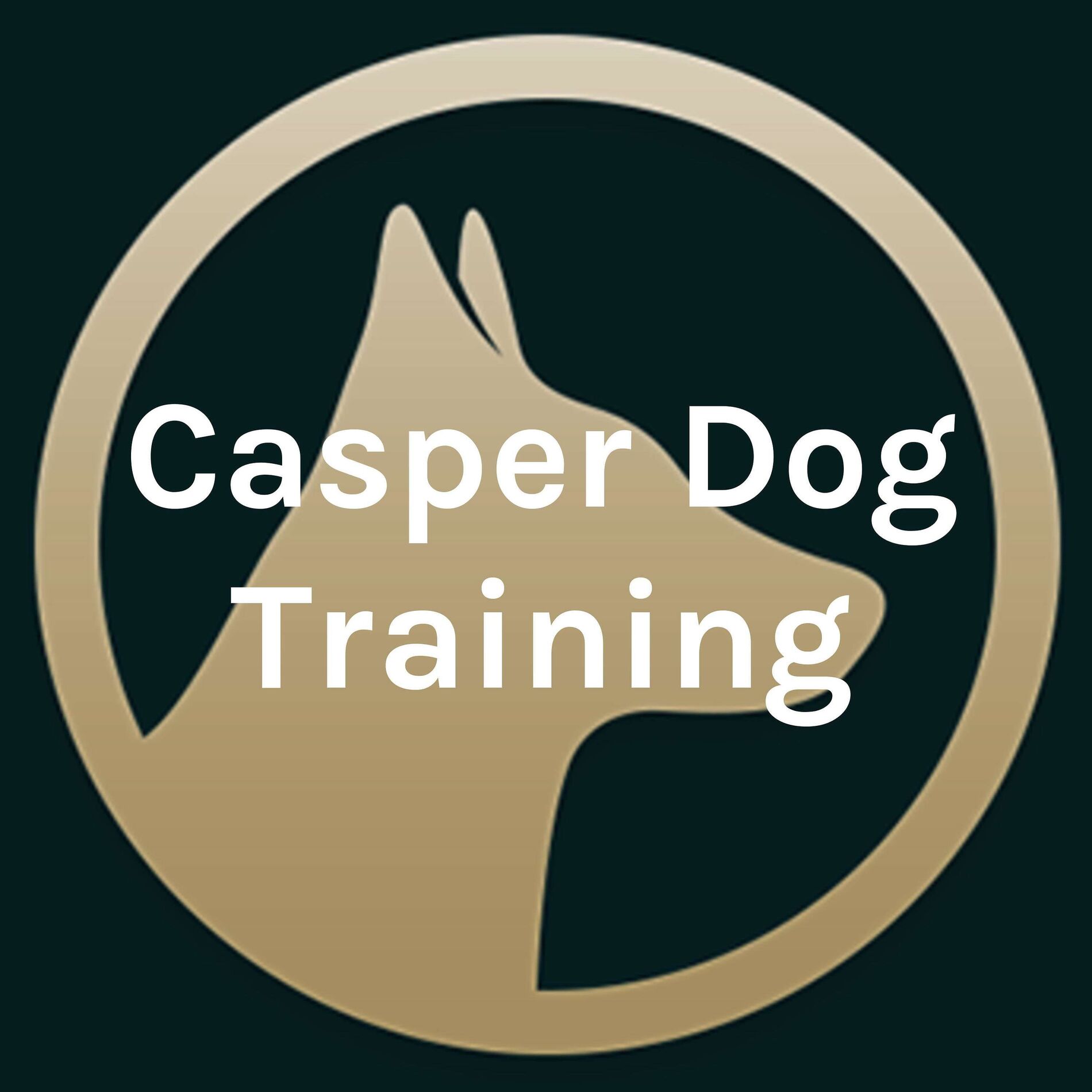 Show cover of Casper Dog Training