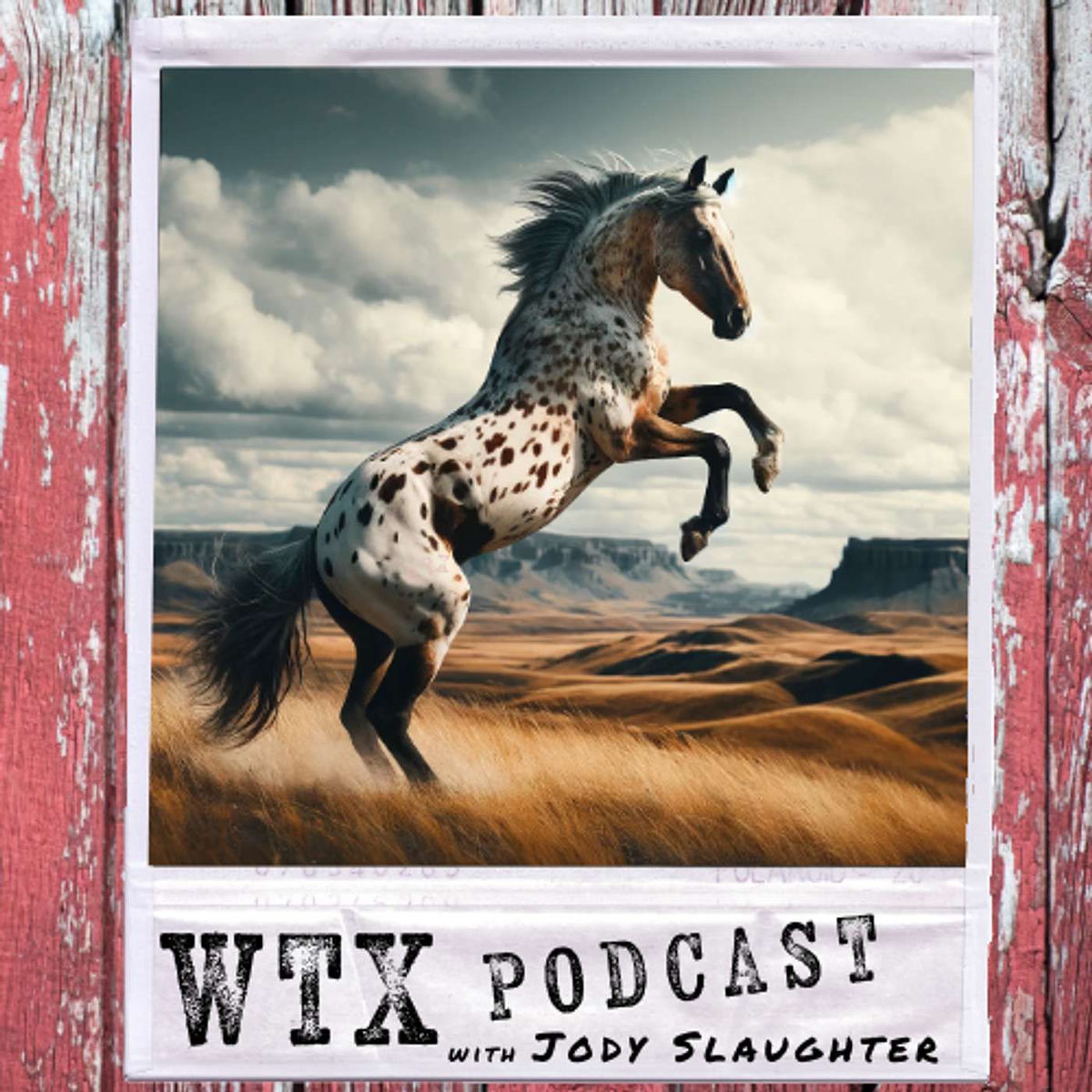 Show cover of WTX - A History of West Texas