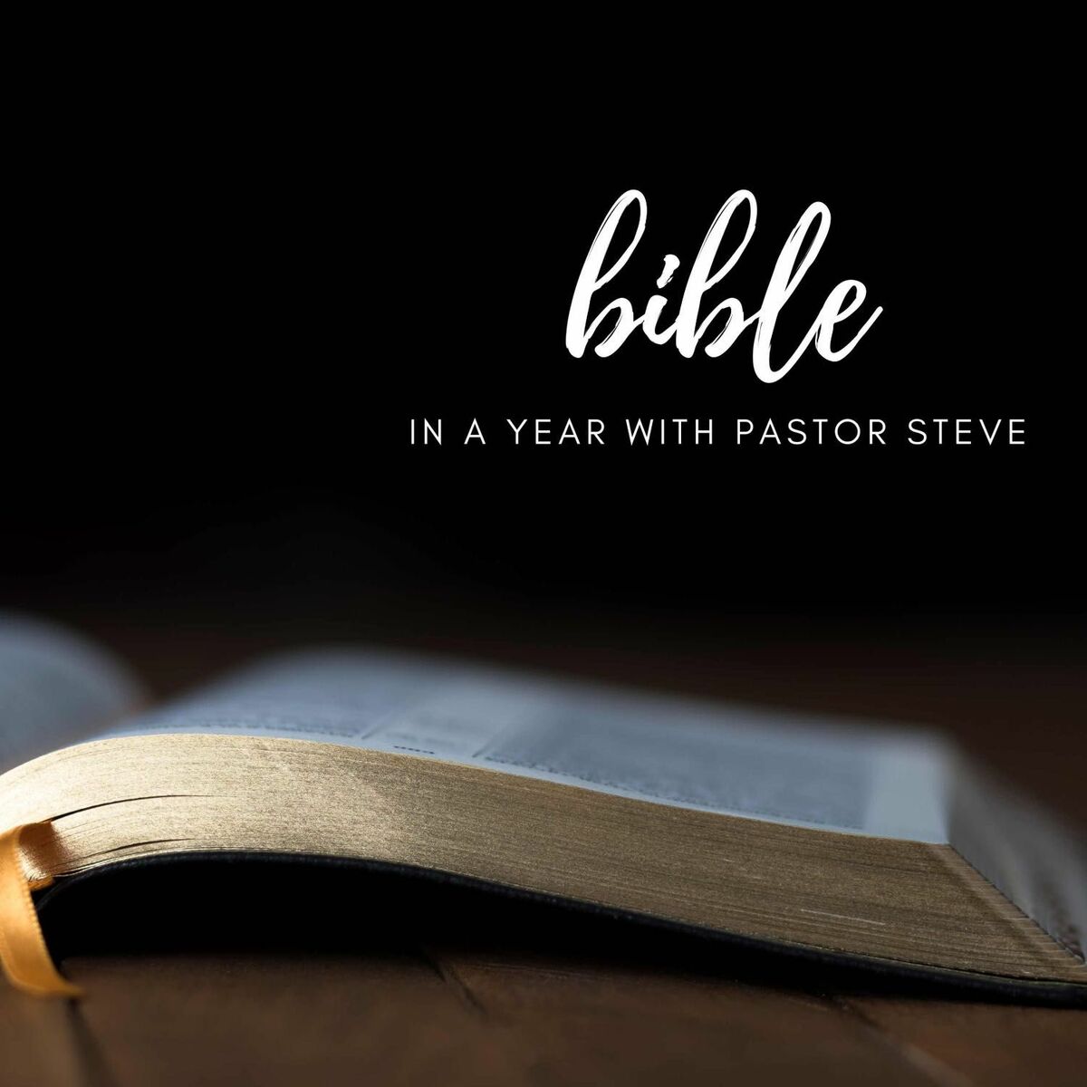 Show cover of Bible in a Year with Pastor Steve
