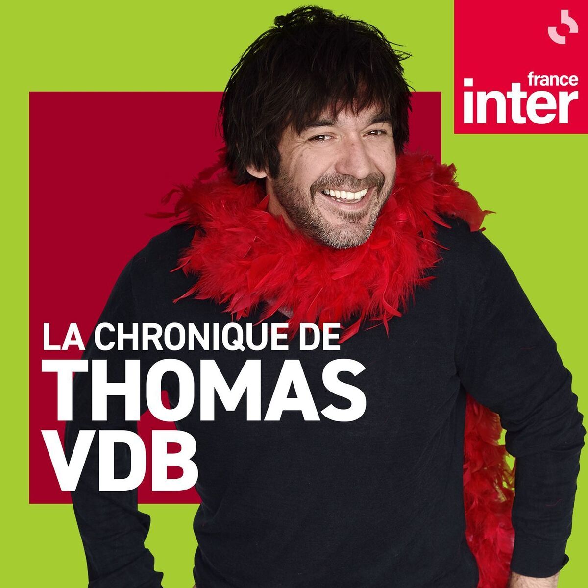 Show cover of La Chronique de Thomas VDB