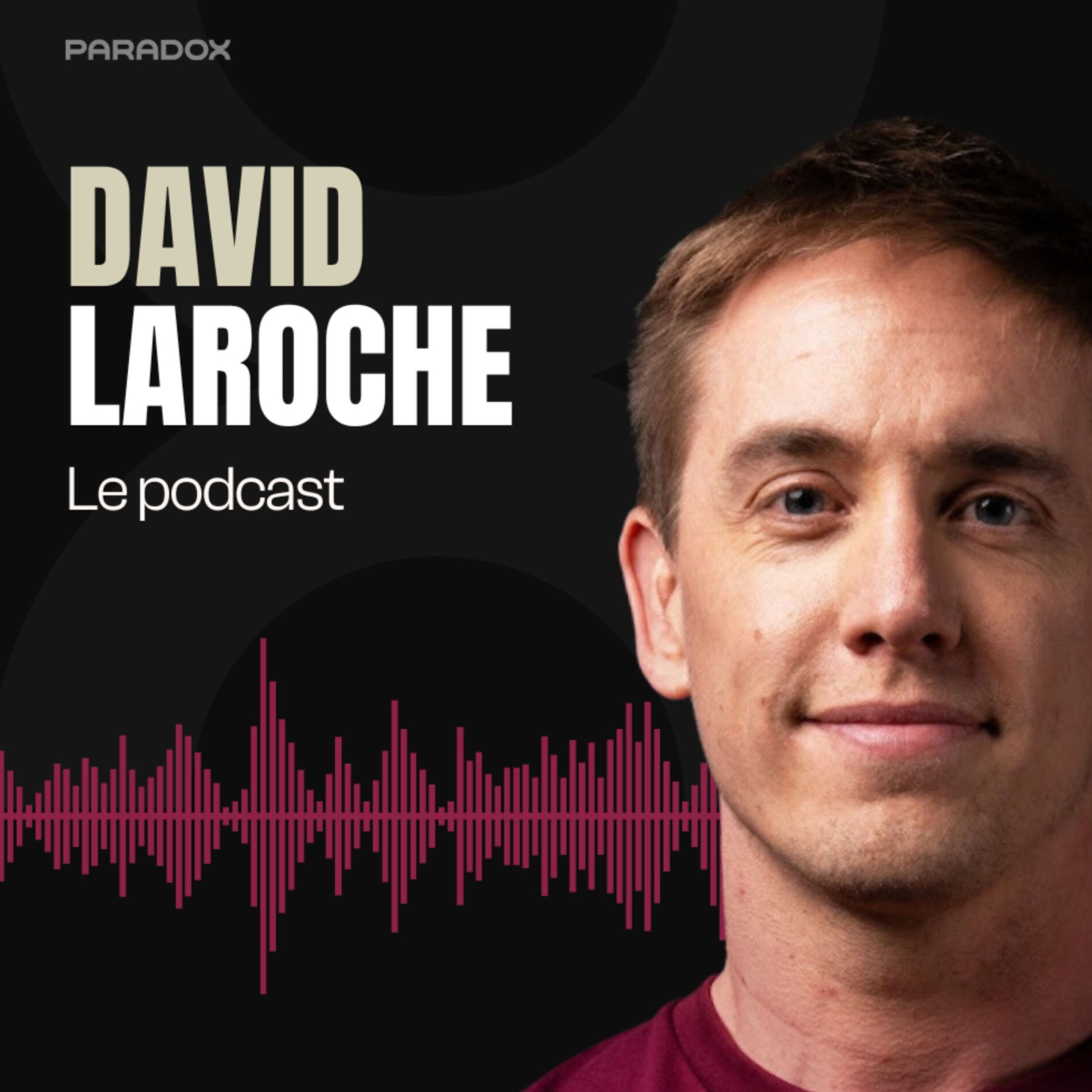 Show cover of David Laroche le podcast