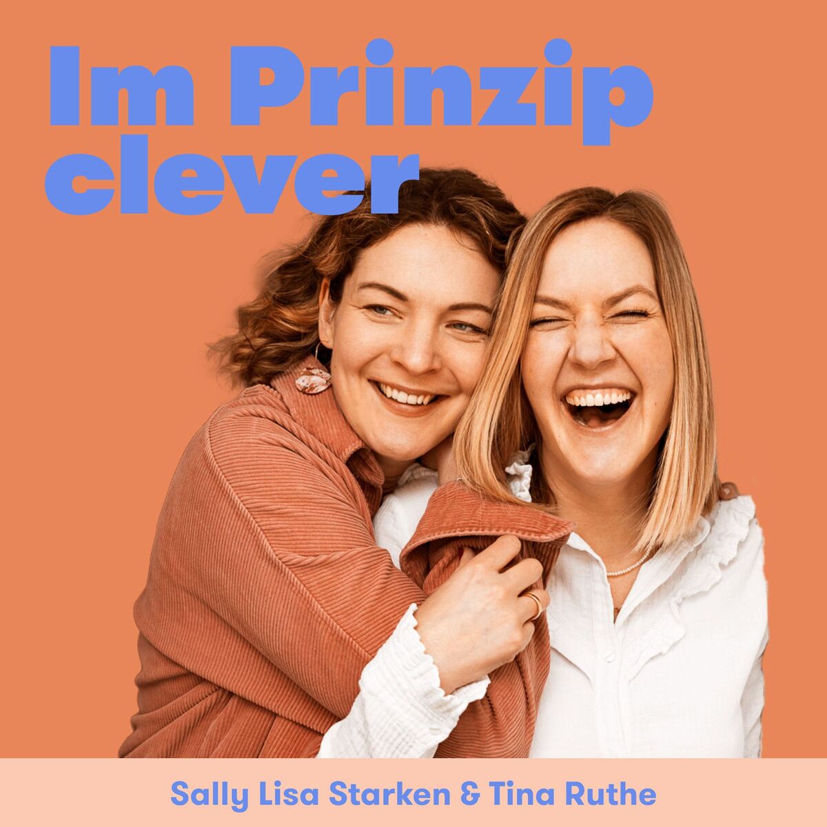 Show cover of Im Prinzip clever