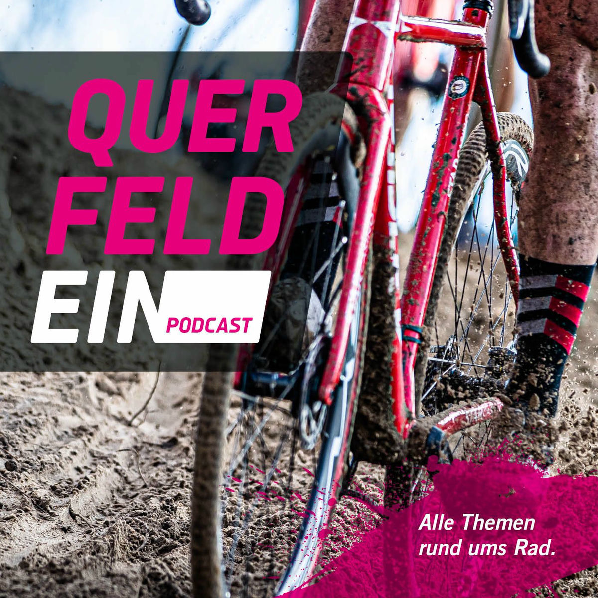 Show cover of Querfeldein