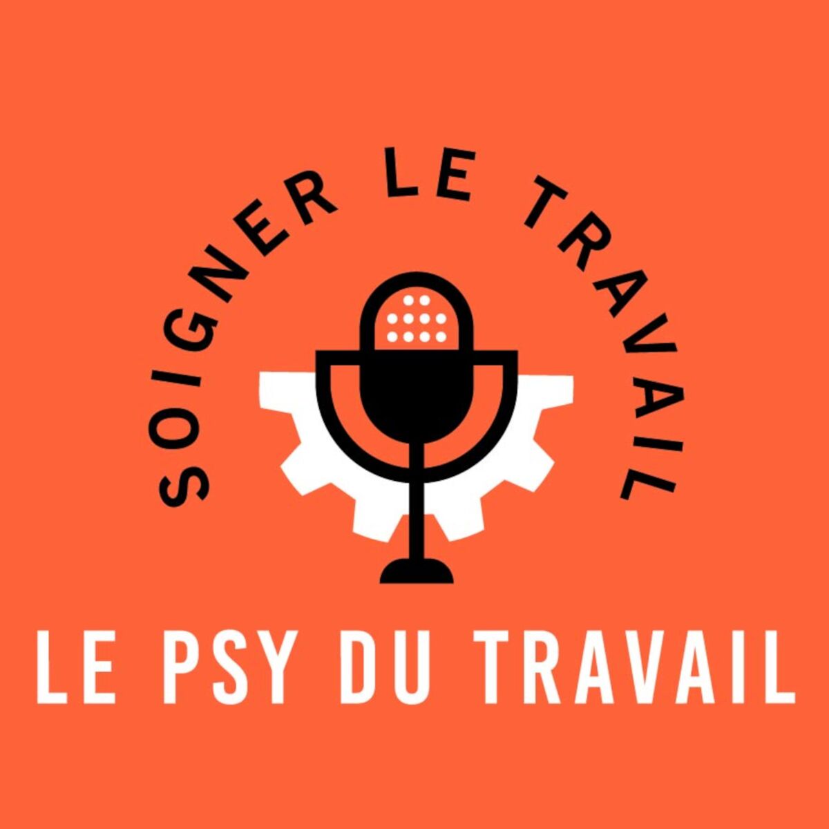Show cover of le Psy du Travail