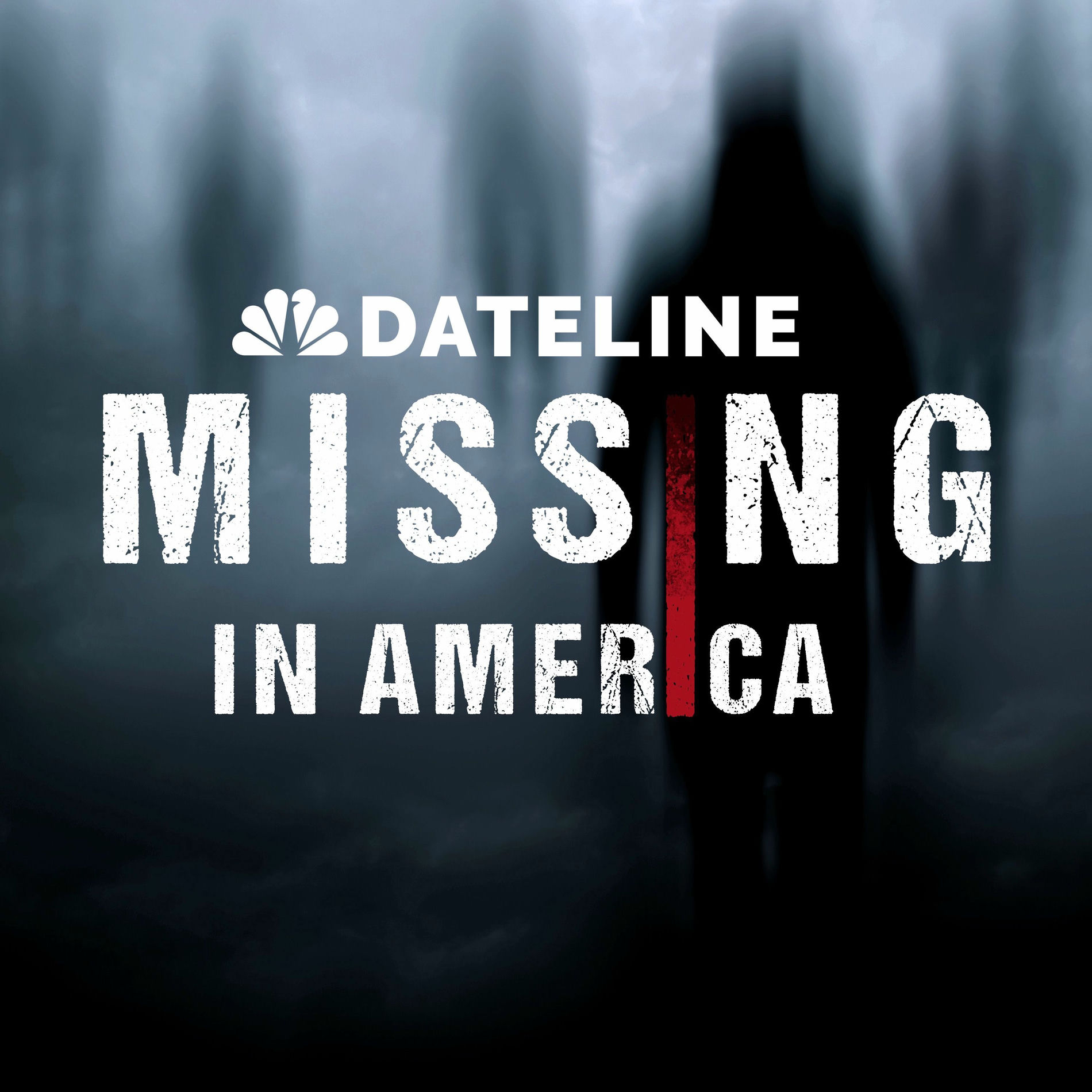Show cover of Dateline: Missing In America