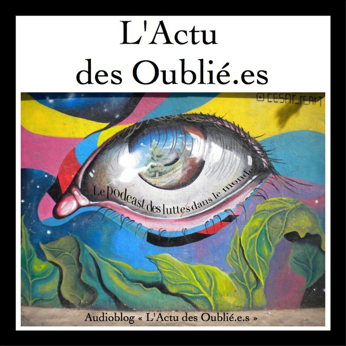 Show cover of L'Actu des Oublié.e.s