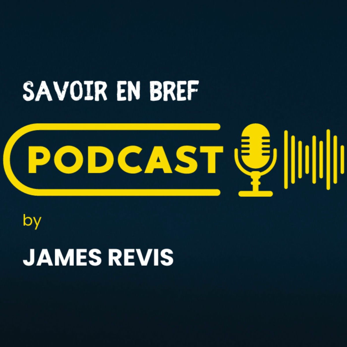 Show cover of Savoir en bref