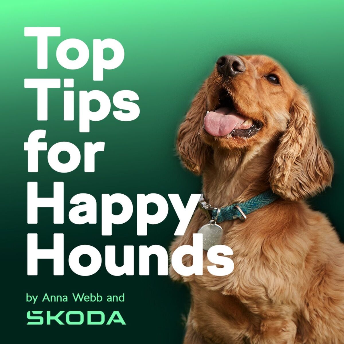 Show cover of Top Tips for Happy Hounds with Anna Webb and Škoda