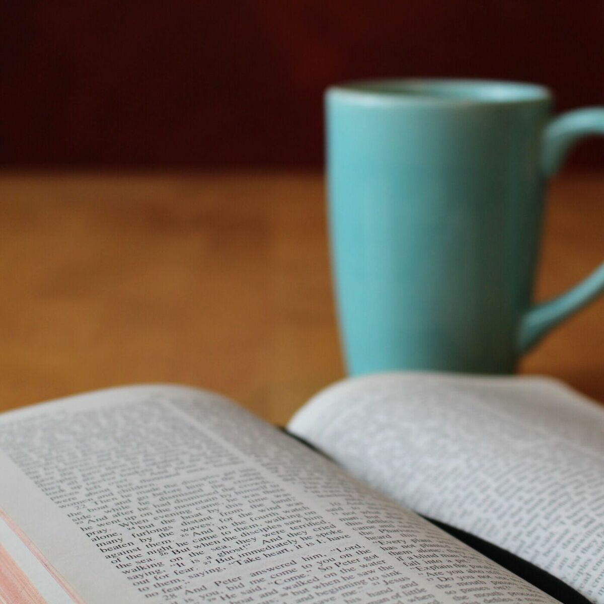 Show cover of Daily Bible Encouragement