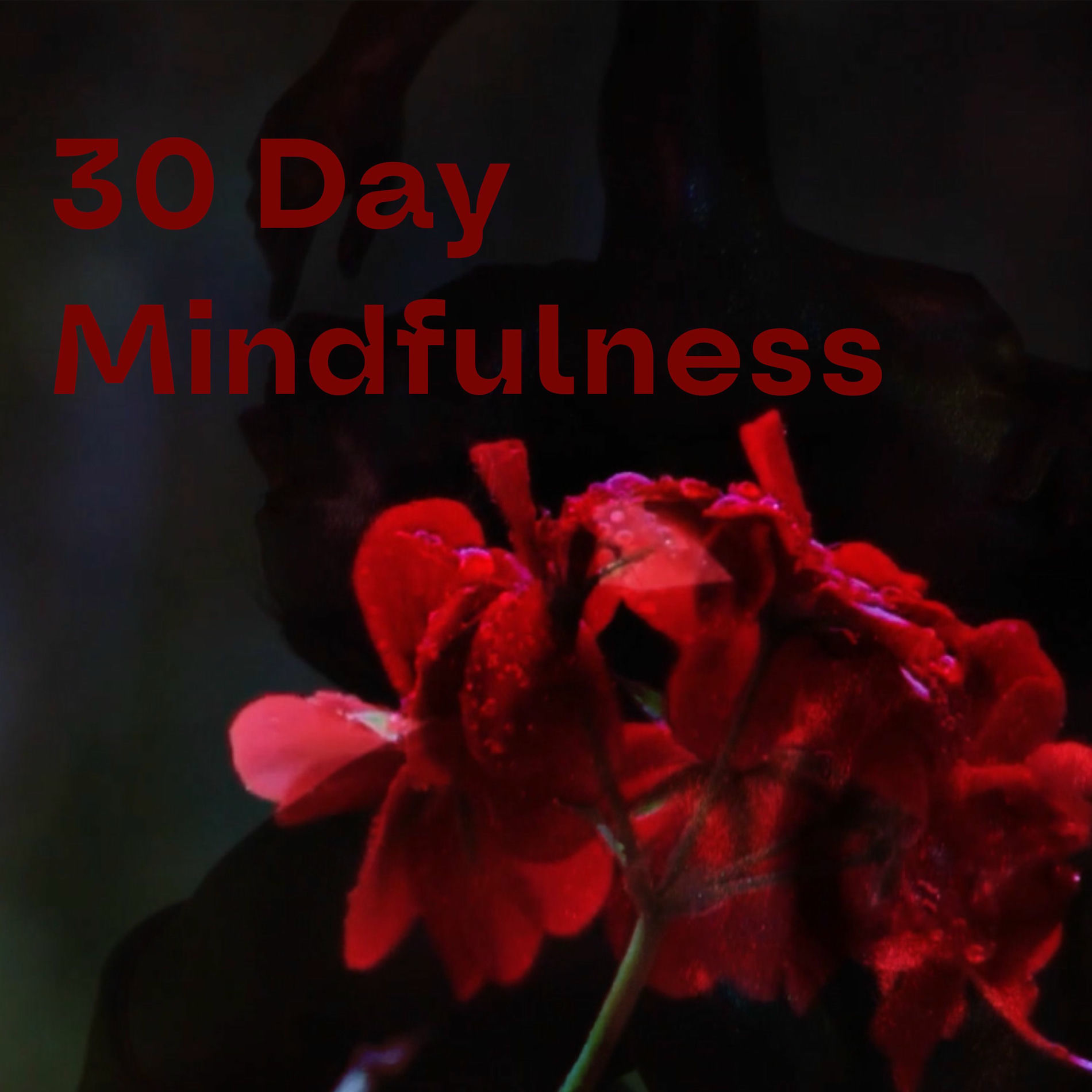 Show cover of 30 Day Mindfulness
