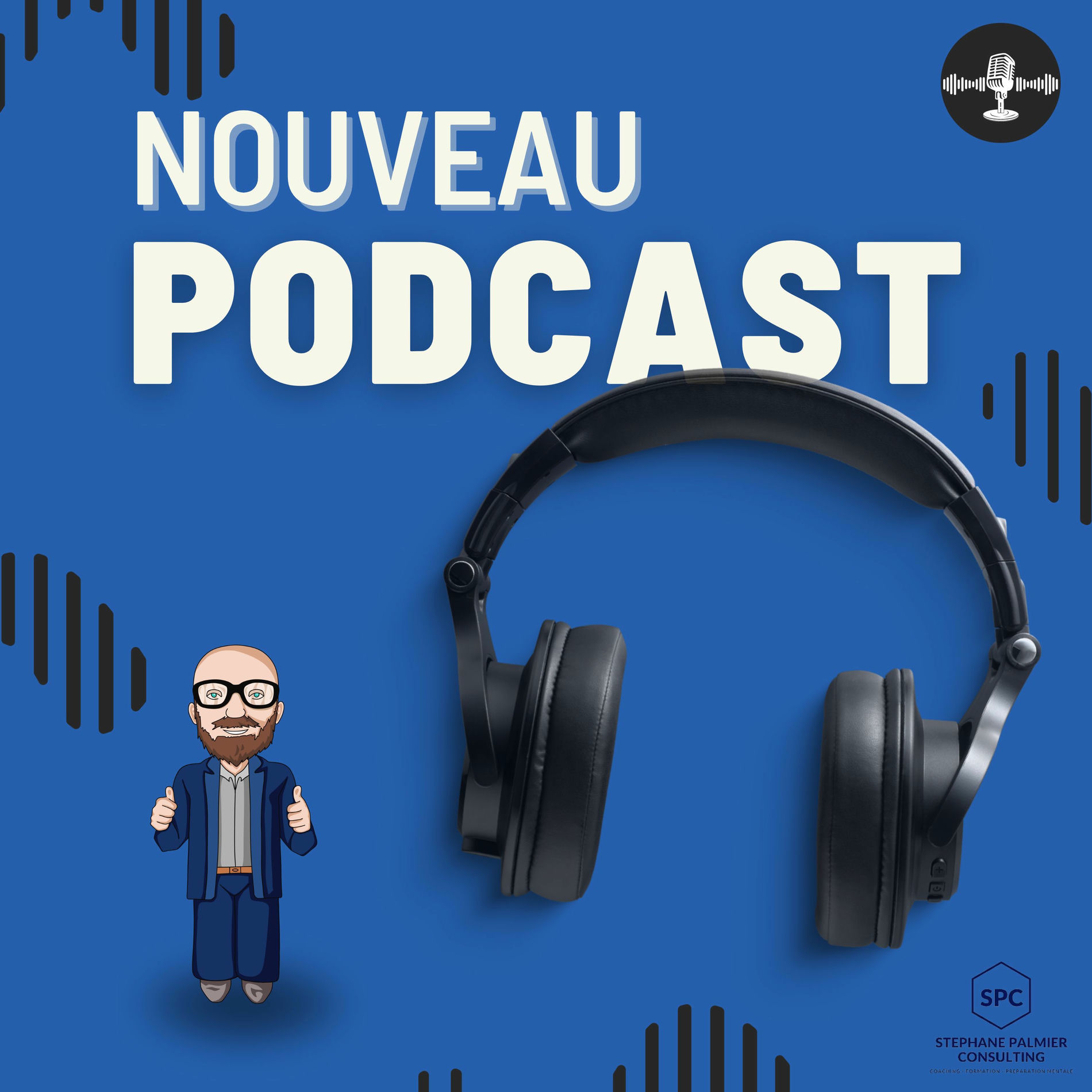 Show cover of LES PODCASTS DE STÉPHANE PALMIER