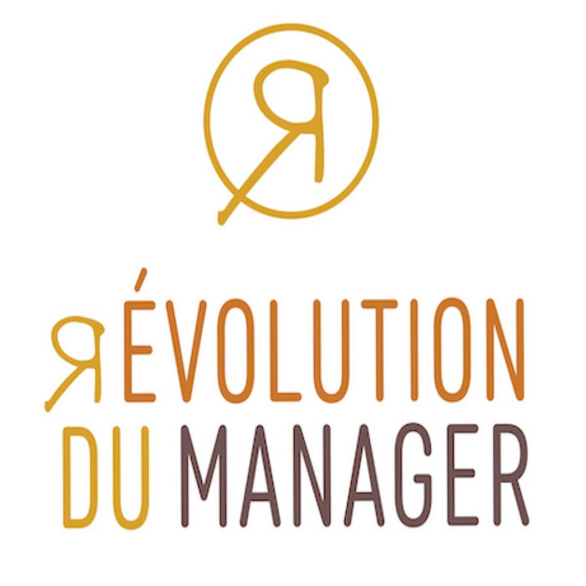 Show cover of (r)Evolution du Manager
