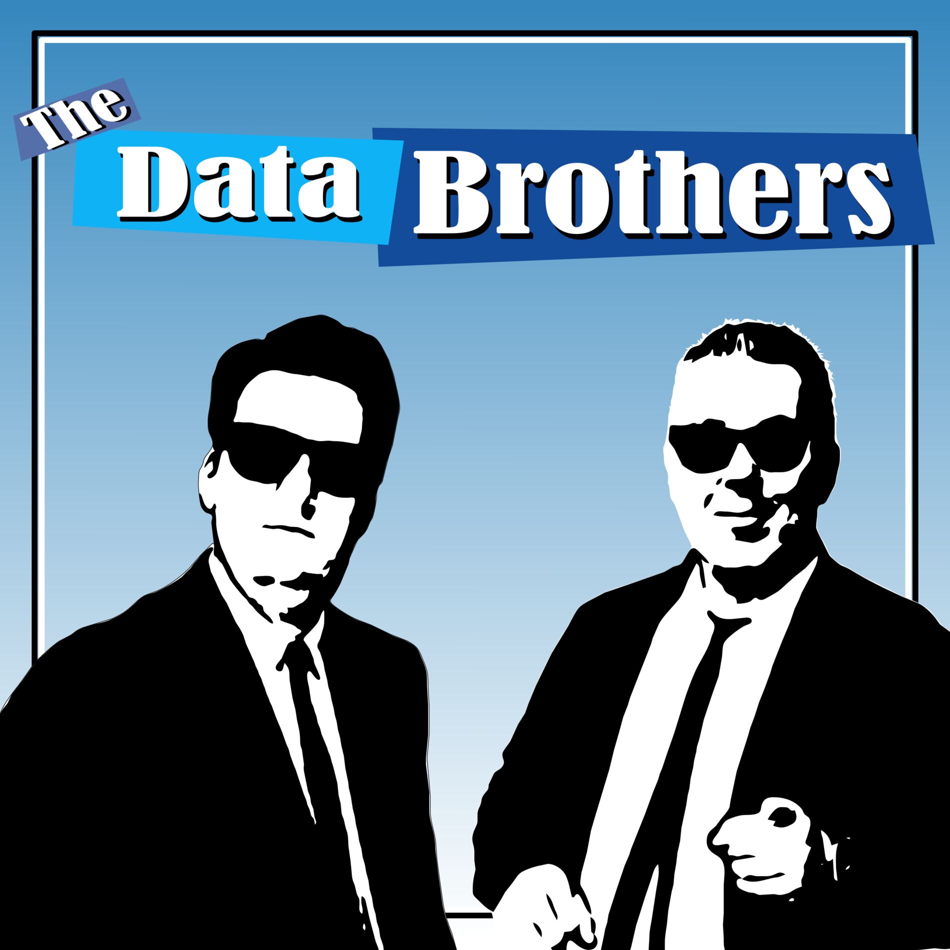 Show cover of The Data Brothers