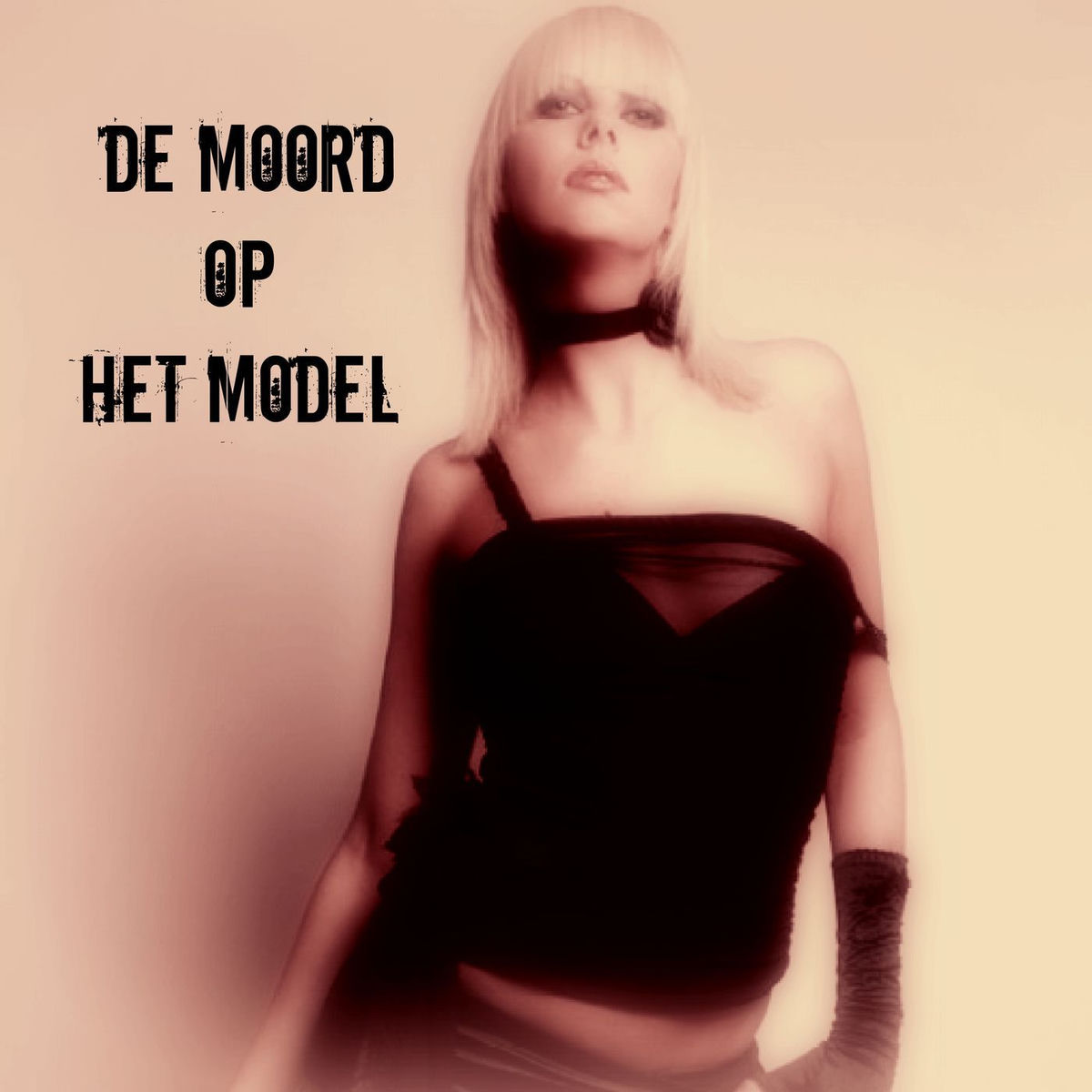 Show cover of De Moord op het Model