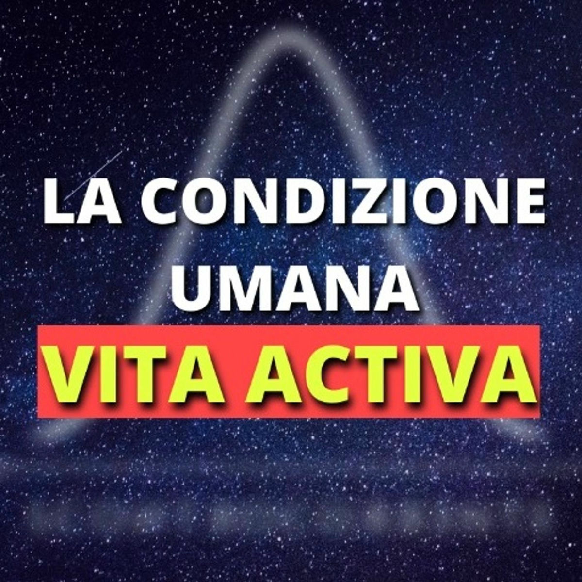 Show cover of Hannah Arendt - Vita Activa