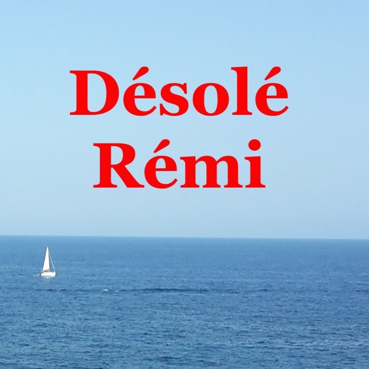 Show cover of Désolé Rémi