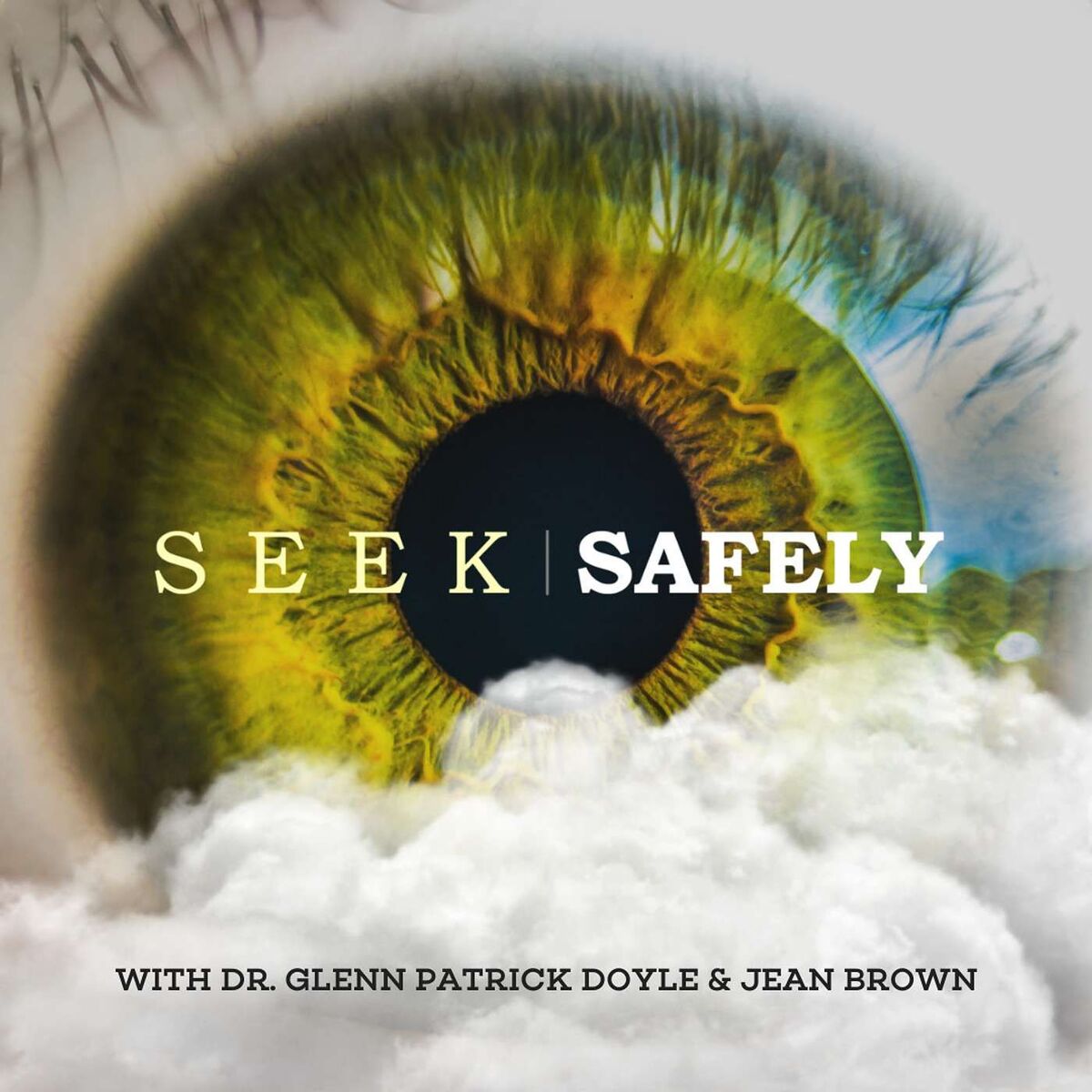 Show cover of Seek Safely