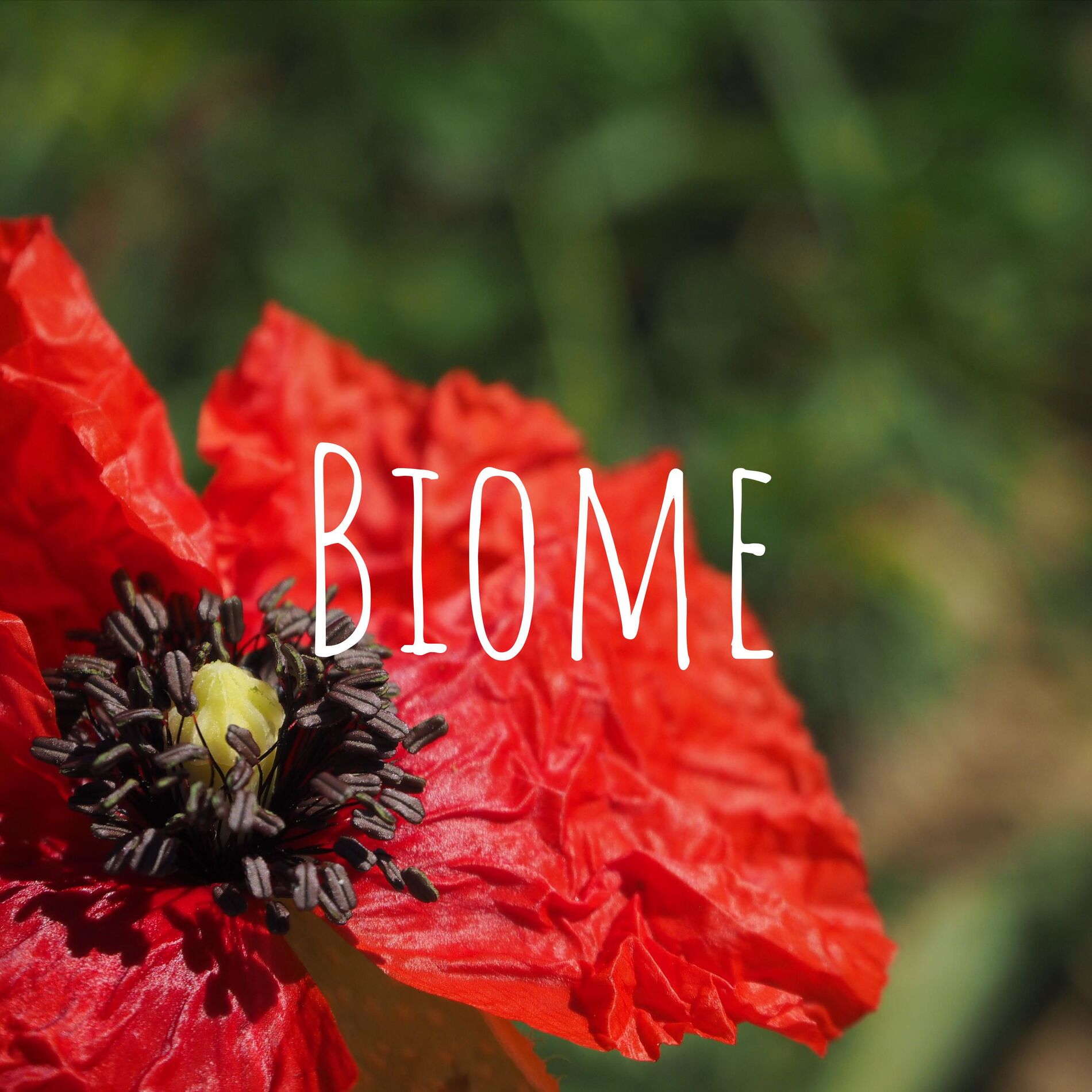 Show cover of Biome