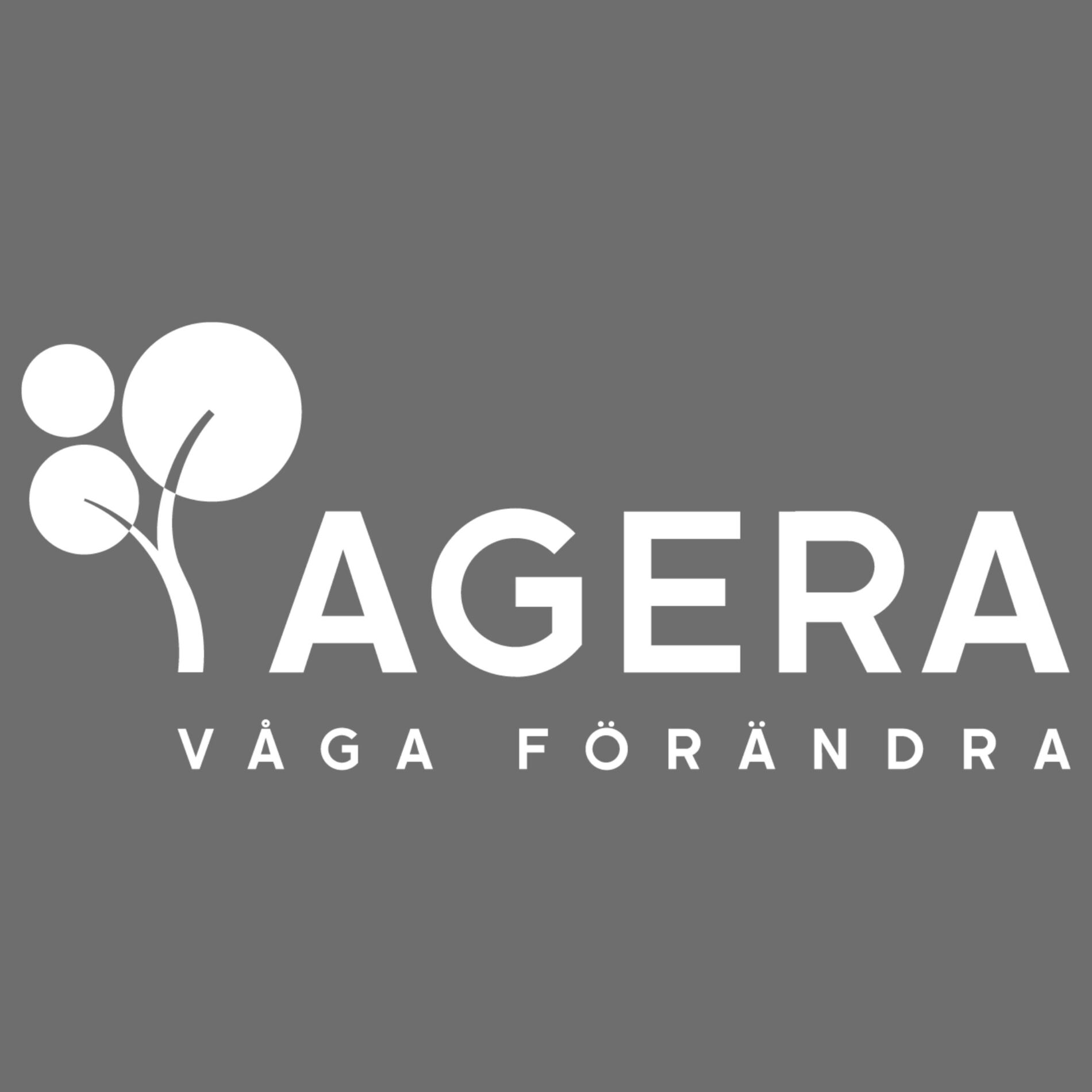 Show cover of Orka ända till pensionen: nya perspektiv på stress i arbetslivet!