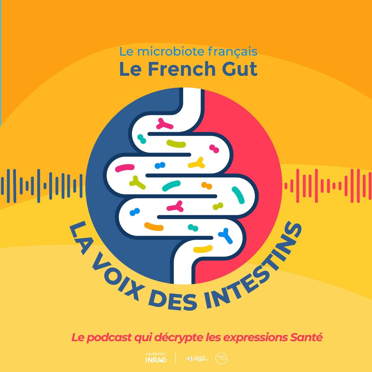Show cover of LA VOIX DES INTESTINS