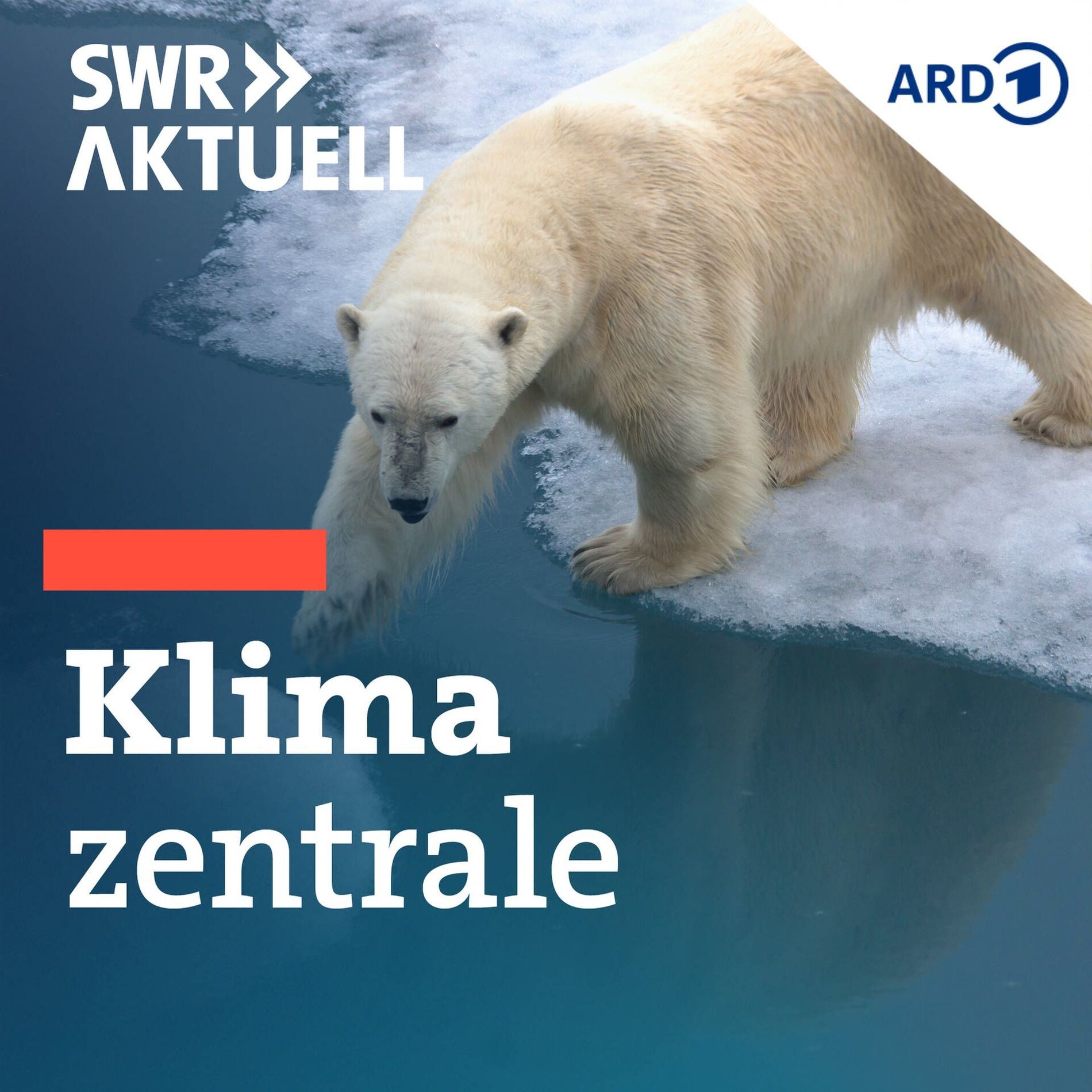 Show cover of Klimazentrale - Der Talk zu Klima & Umwelt