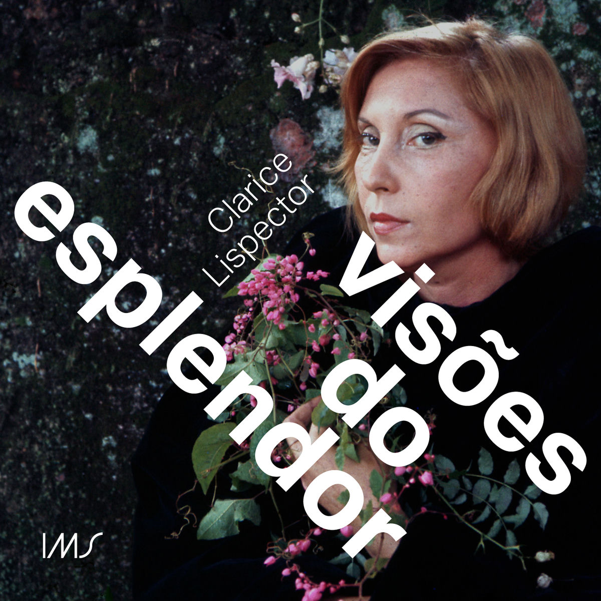 Show cover of Clarice Lispector: visões do esplendor