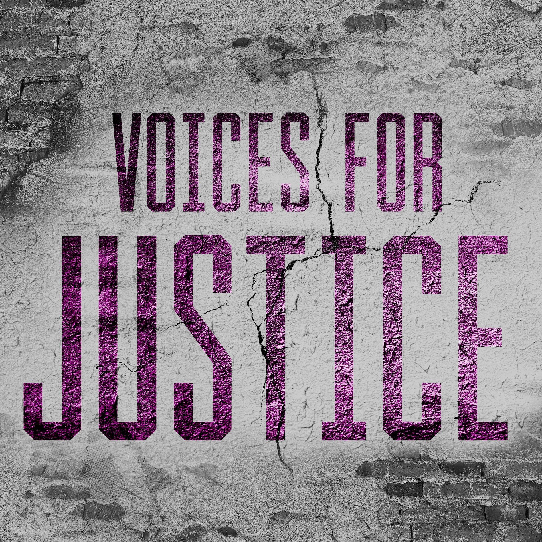 Show cover of Voices for Justice
