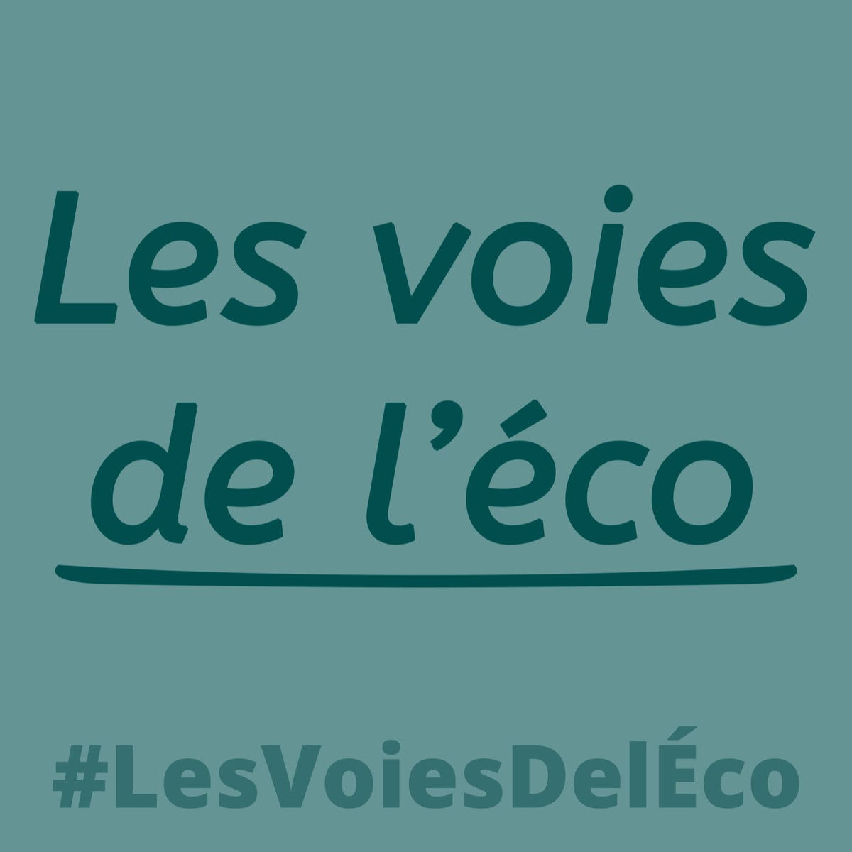 Show cover of Les voies de l'éco 📢