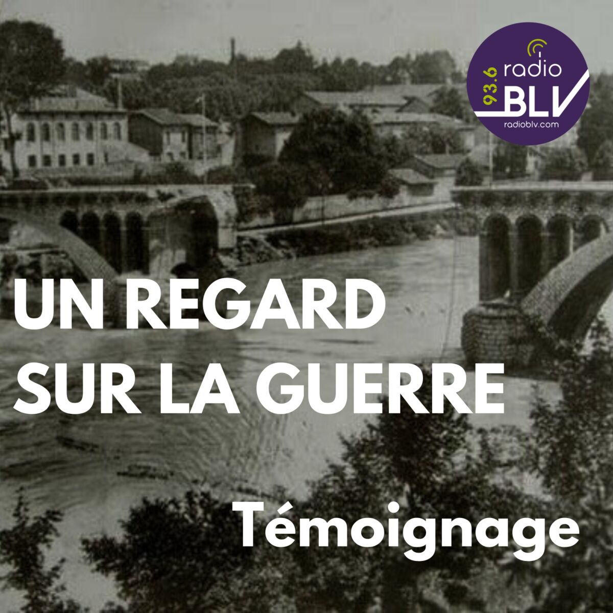 Show cover of Un regard sur la guerre