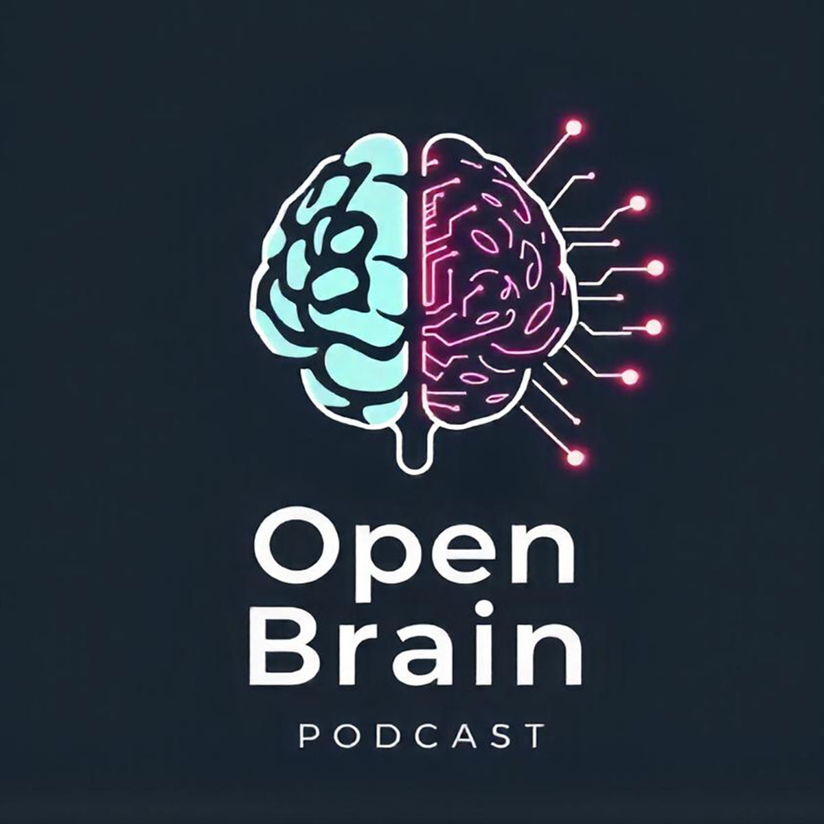 Show cover of Open Brain
