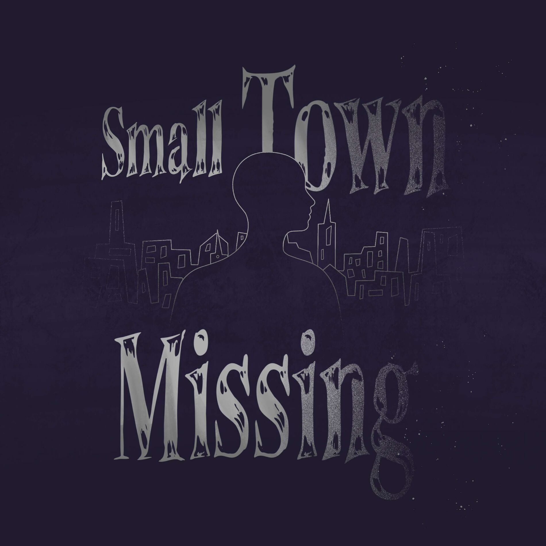 Show cover of Small Town Missing