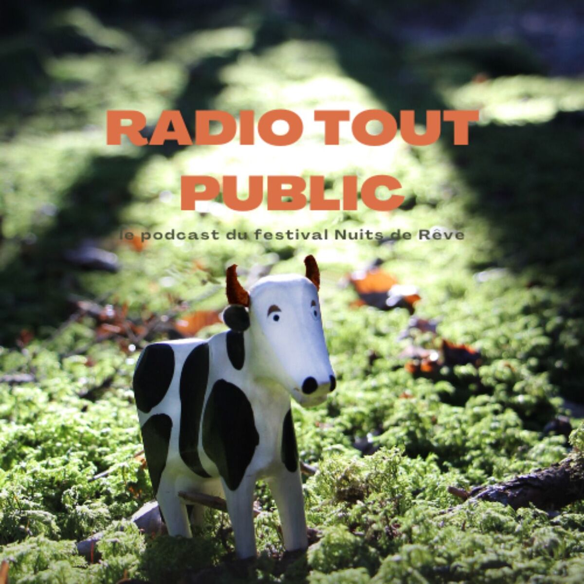Show cover of Radio Tout Public