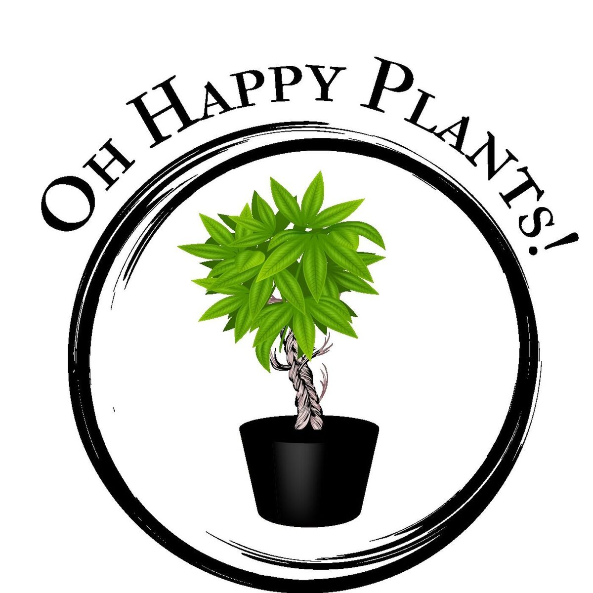 Show cover of The Houseplant Coach
