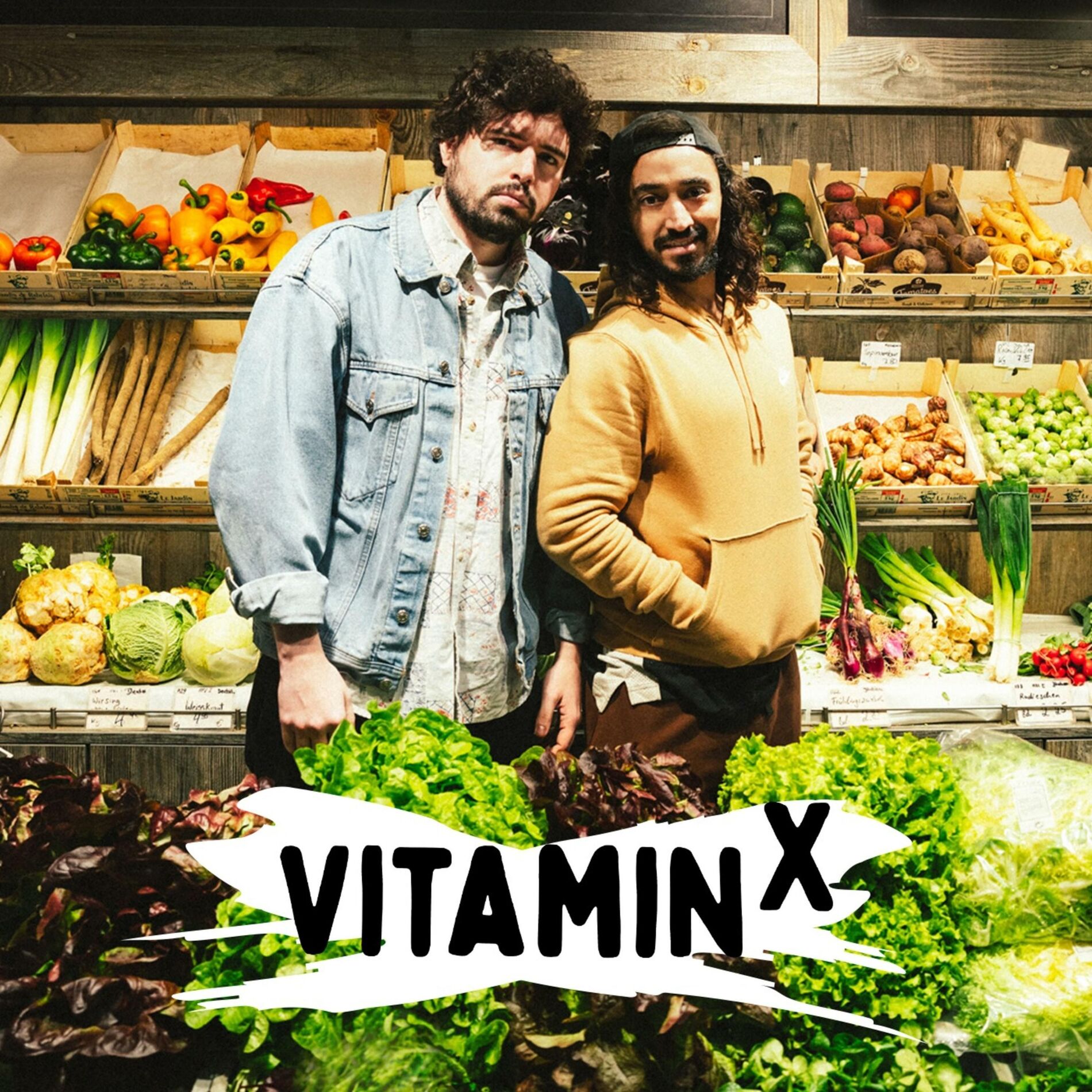 Show cover of Vitamin X - der Podcast