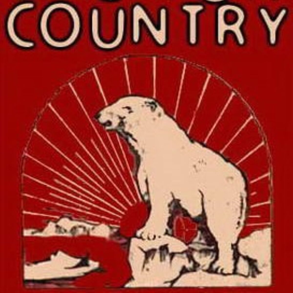 Show cover of Adventure novel reading