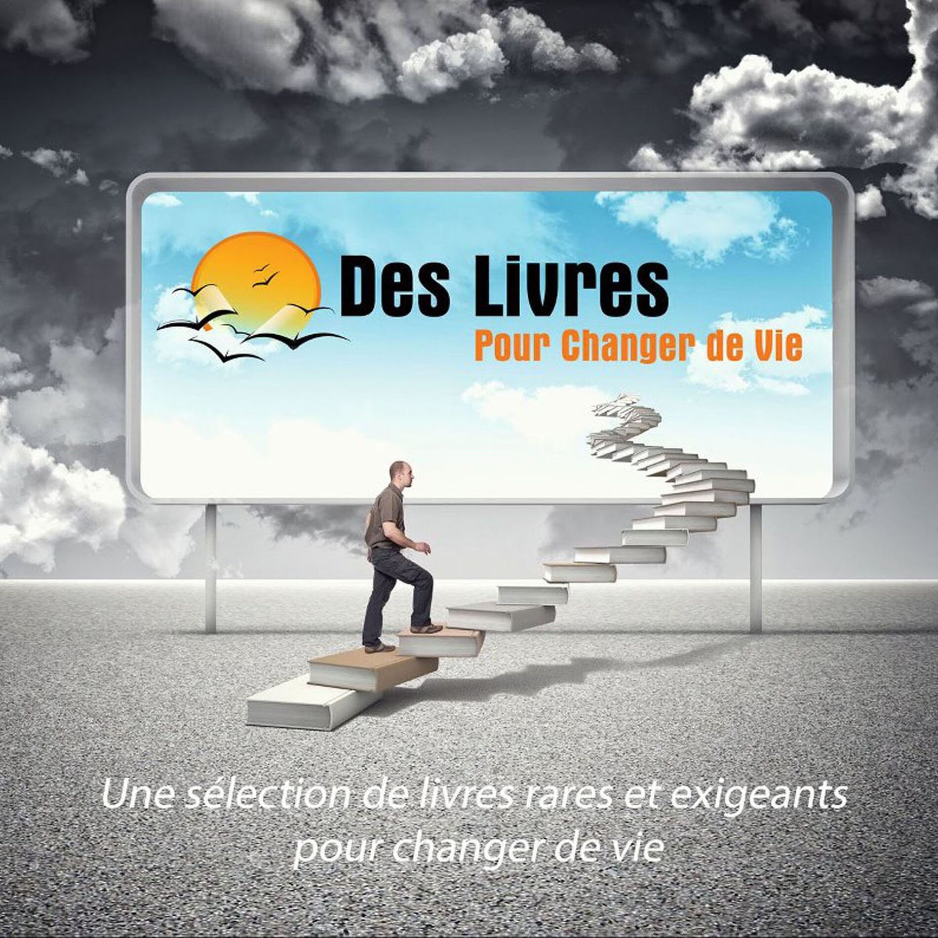 Show cover of Des livres pour changer de vie