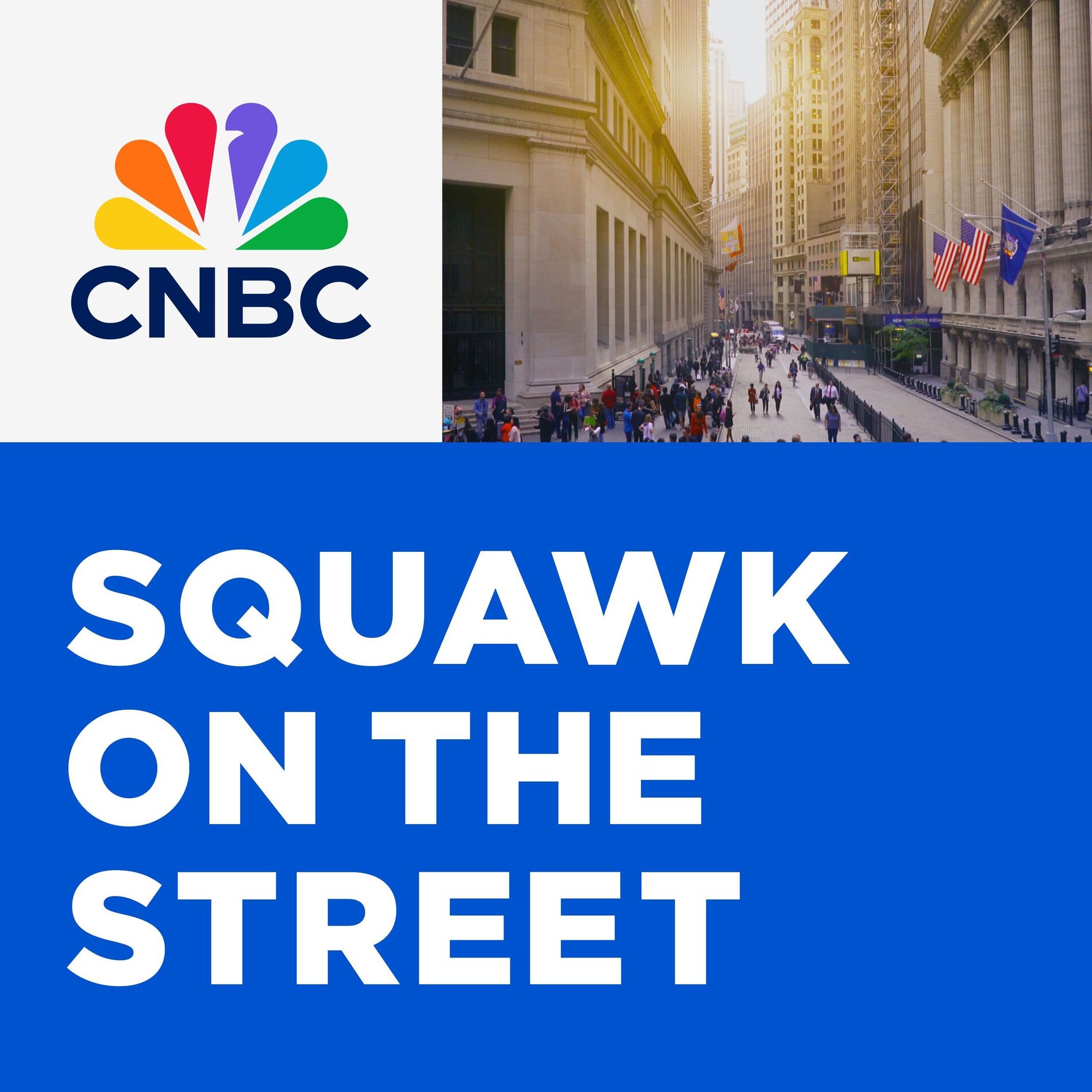 Show cover of Squawk on the Street
