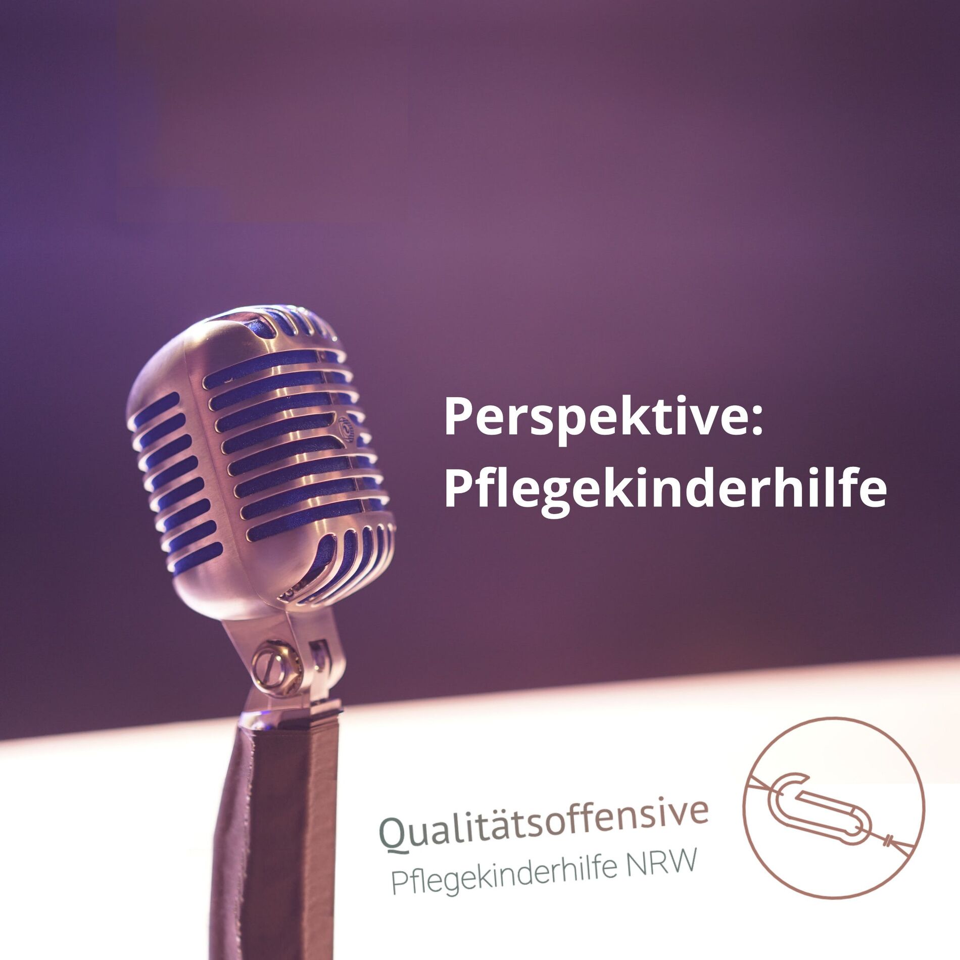 Show cover of Perspektive: Pflegekinderhilfe