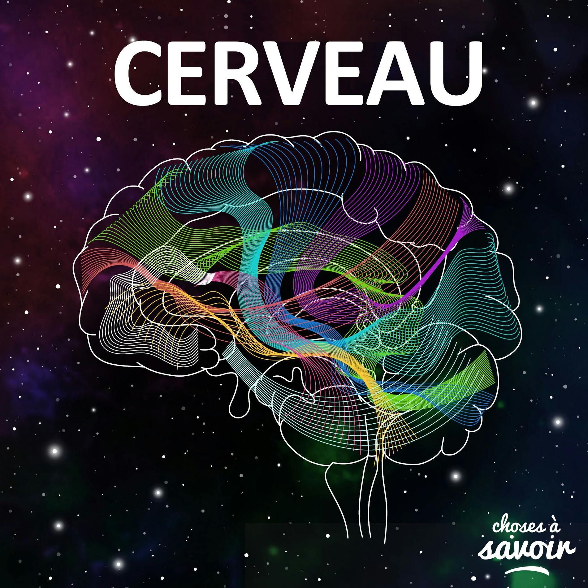 Show cover of Choses à Savoir CERVEAU