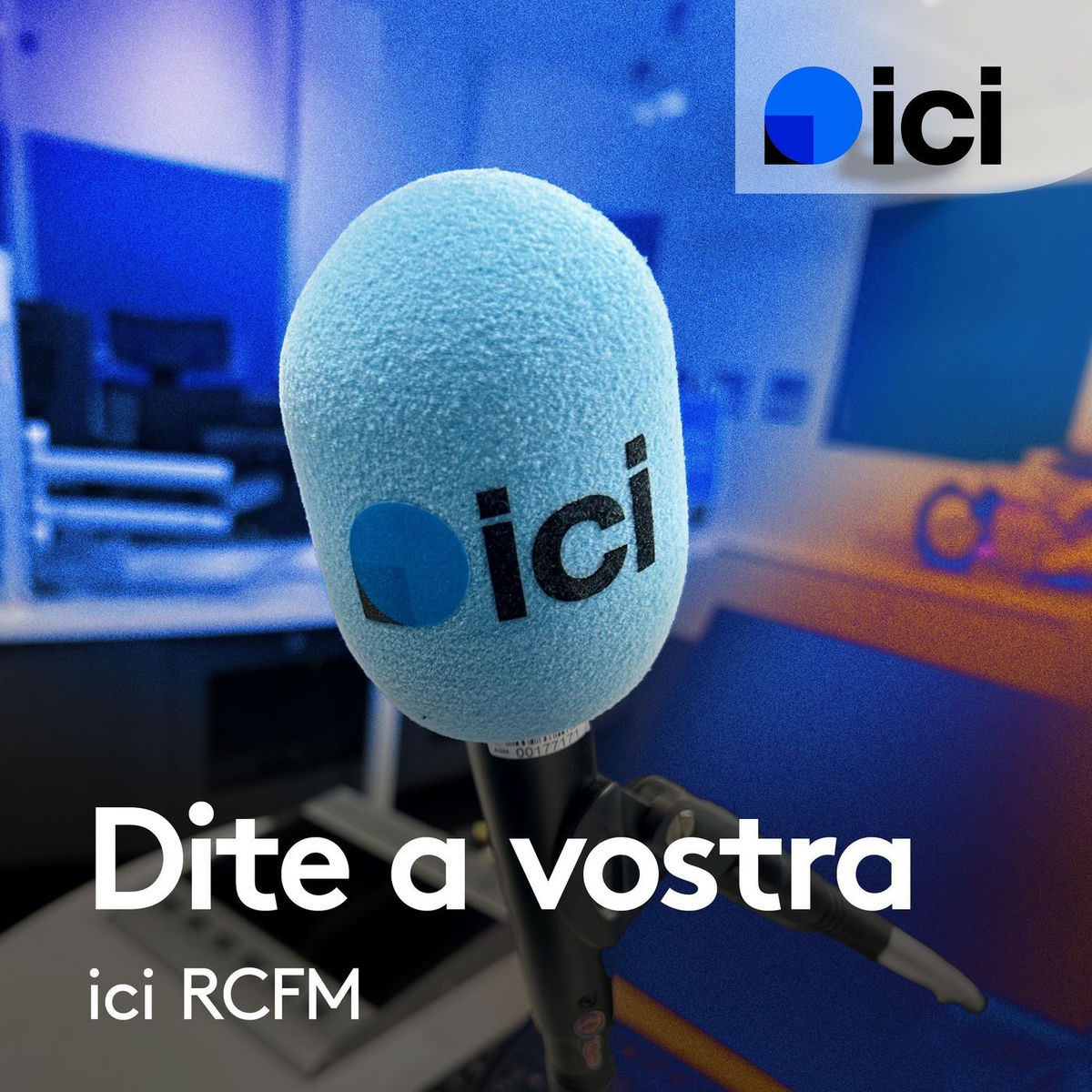 Show cover of Dite a vostra