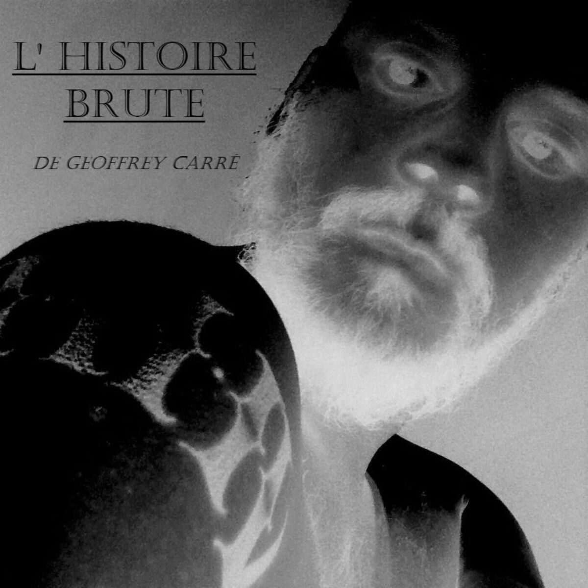 Show cover of L'Histoire brute de Geoffrey Carré